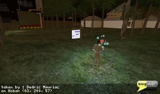 I decided it was high-time to move out of a sim I had been on for a while. After all, my friends just got there own sim and moved out of the area too. I set my land at a high price, thinking that it would be weeks before anyone bites. 512 sq. m. for 5120 L$ - 10 L$ per sq. m. I walked on over to my other property and hear the ringing of "cha-ching" of my change. I quickly cancel the sale of my second lot and walk back over to the first. Sure enough, someone and bought it and immediately set it up for sale at a much higher price. I talked with the new owner and found out that there is a land shortage and that all land prices have pretty much doubled. From Dedric Mauriac via blogHUD