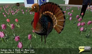 I picked up a turkey over in Calidon a while back. These pets are a bit fun and give my parcel some nice activity. You simply rez the turkey and click it and it goes about on its merry way in a 2m radius. You can edit a notecard inside so they can travel further. I have mine set to 10 meters. I received 3 types of turkeys. The regular one moves around and gobbles. There is another that is silent, and the last is non-scripted, so it doesn't move at all. Looking at the notecard, I've apparently adopted this turkey after escaping a masacre. See Rhiannon Chatnoir or Frans Charming in Caledon to get your own turkeys. From Dedric Mauriac via blogHUD