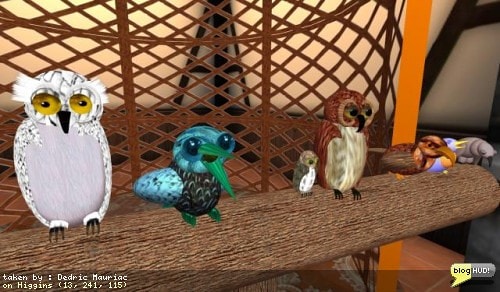 A while back, I created a script for my friend DrFran Babcock. She was able to put some materials together with it and teach a class how to make there own shoulder buddies as birds. She has her class a lot and quite often shows me a new bird that a student of hers has made. She has now started selling some of the ones that she has made as well as allowing some of her students sell there own at her shop with hers. I like Marvin, the mourning dove ... of Gloom! He is a dove that sulks and says funny lines that are depressing. (Oxymoron?) Check these guys out. They are all pretty awesome. From Dedric Mauriac via blogHUD