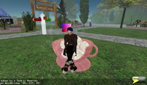 I met someone tonight who was a very interesting person to talk to. We talked about many topics and such and in the end she handed me a gift to present to my wife. The woman was Katiegurl Rhode. I rezzed the object and found it was a nice gift box. Inside I found a saucer and a tea cup. I rezed them both and it turned out to be a giant tea cup in the shape of a chair with nice pillows inside. The chair rotated on the saucer. The saucer blows bubbles in the wind. This is a build from a class that Katiegurl took and added a few additional things herself such as the rotation. It's pretty nice. From Dedric Mauriac via blogHUD