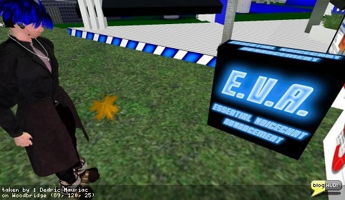 I originally wanted to buy some 3D software. I got it cheaper then I expected and bundled with a voice chat software. It's nice to hear people talking who don't have voice chat. The software also recognizes my own speech and sends it to the Second Life viewer. This sent me through windows speech recognition tutorials. After I was confident in what I was doing, I was able to start opening programs with no hands. Second Life is a bit odd. The whole environment is 3D so it doesn't really get recognized with fields, buttons, and menus. Instead, you have to say all the short cut keys to do things. I'm still trying to figure out how to close my inventory window. Turning is a problem too. From Dedric Mauriac via blogHUD.com