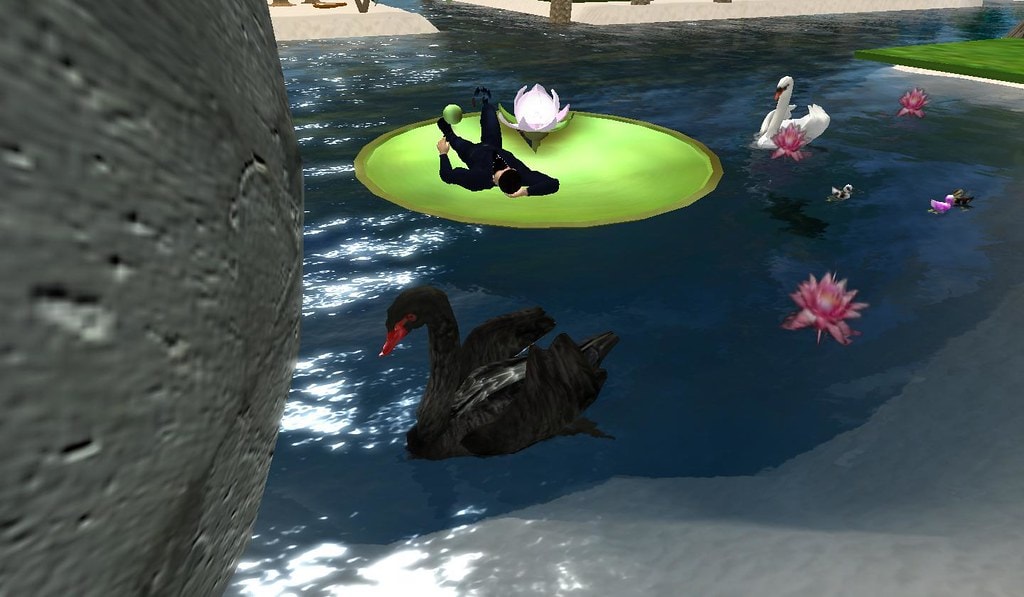 Well, I looked over at my snapzilla account and saw that I had 2014 snapshots. I am in 13th place for having the most snapshots. Torley Linden has 8,833 snapshots in first place. It looks doubtful that I would ever catch up to them. I wonder who would be in first place for most text posted with the snapshots. A few people post just as much details as I do about the pictures they upload. I doubt most of them know how to submit more than 700 characters through the second life viewer interface. Most people have one-liners expressing the moment of what is happening. Since I send my snapshots to multiple emails addresses and crost post to a few blogs, I try and give a good description of what is going on, or my thoughts in general. I jumped on over to the photos sim in thsi snapshot and had a rest on a giant lily pad to think things over. It truly is nice here watching swans sim around with goslings. I don't know if it's just the refraction of the water, or if these guys really are paddling their feet. It really is a sight to see. Even the coi are spectacular. For such a small spot, there is a lot of action and beauty going on. Posted by Second Life Resident Dedric Mauriac. Visit Photos.