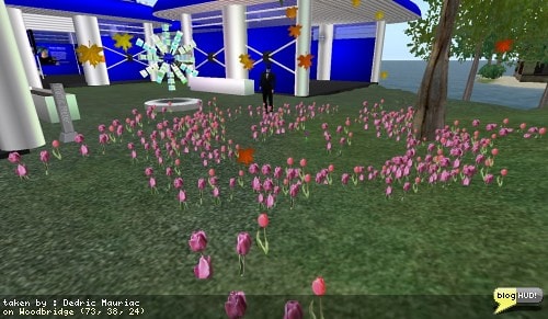 A while back, I was starting to upgrade all of my products one at a time. Along with the upgrades came public demonstrations that people could interact with. Somehow I got side tracked and things got left behind. I am always doing something different and never finishing things. Anyway, I started getting back to fixing up my inventory and picked up where I left off - Tulips. Rather than having an eye sort of a particle generator when it was visible, I made it look just like a tulip on its own. I added a few commands to change density and how often it changed position. I still need to work on getting all the flowers level though. Particles are limited to what you can do with them. From Dedric Mauriac via blogHUD.com