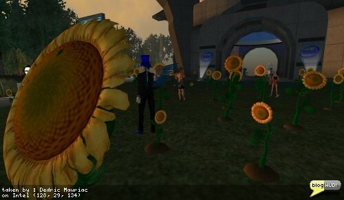 Intel has a garden of sunflower seeds at the base of one of its buildings. Avatars are encouraged to come buy and plant a flower. Intel will donate 1 US$ to the Conservation International Foundation (10,000 US$ Max). I can plant up to 10 sunflowers each day. The score board here shows that over 6000 sunflowers have been planted this week. Am I saving the world? I am sure that someone is going to complain that the carbon footprint to pull this off is not any help to the cause. However, those resources were going to be used anyhow. This way, people are made aware and and money is donated. From Dedric Mauriac via blogHUD.com