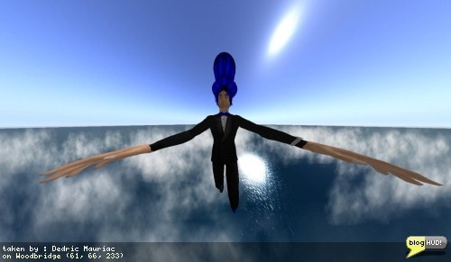 I'm always playing around in one way or another. Hitting the CTRL+8 and CTRL+0 keys lets you change the depth of the camera to get some really wild shots. Perhaps later, the client may offer other camera effects such as blur, fish eye, or lense flare. For now, I'll just stick with the carnival- like crazy mirror effect. From Dedric Mauriac via blogHUD.com